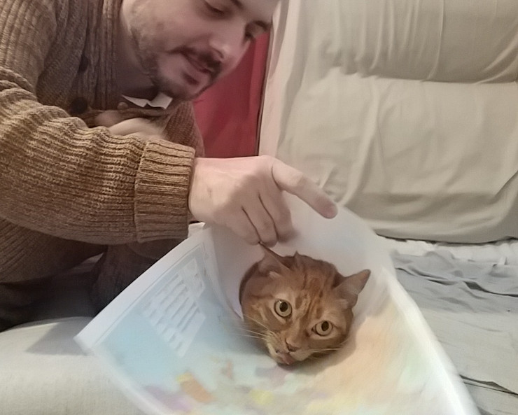 Iván putting a conical map on a cat